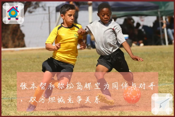 张本智和称松岛辉空为同伴与对手，双方坦诚竞争关系