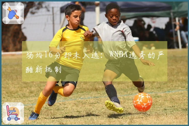 场均16分却未入选：WNBA选秀的严酷新机制